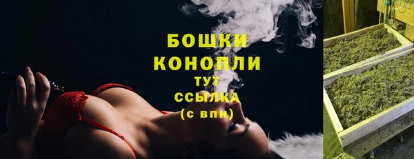 индика Балахна