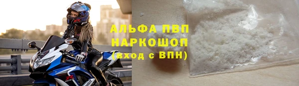 индика Балахна