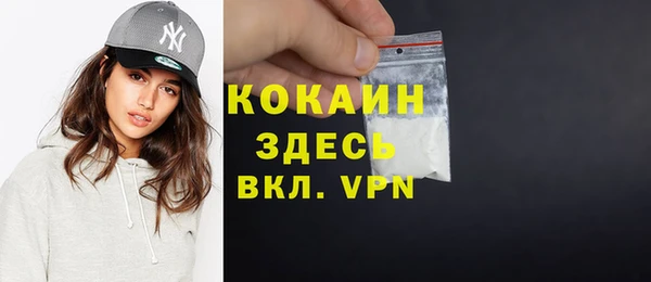 индика Балахна