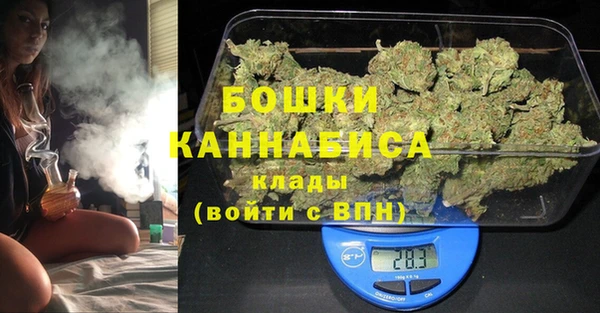индика Балахна
