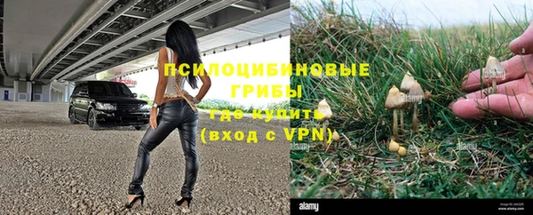 индика Балахна